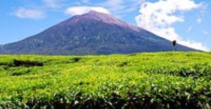 Sumatra Travel Guide