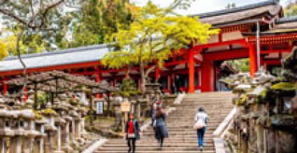 Nara Travel Guide