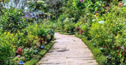 Tagaytay Travel Guide