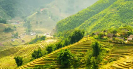 Lao Cai Travel Guide