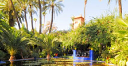 Marrakesh Travel Guide