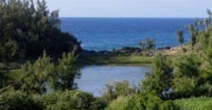 Hamilton Bermuda Travel Guide