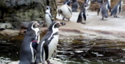 Seattle Travel Guide