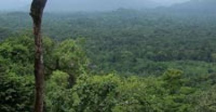 La Mosquitia Travel Guide