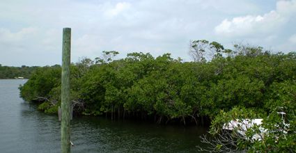 Abaco Islands Travel Guide