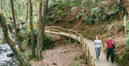 Medellín Travel Guide