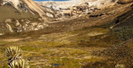 Manizales Travel Guide