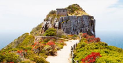 Gqeberha Travel Guide