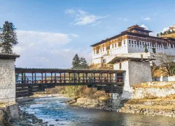Annapurna Butterfly Museum in Pokhara