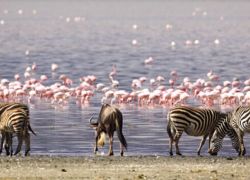 Lake Manyara National Park
