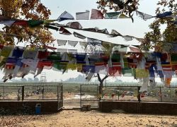 Gotihawa in Kapilvastu