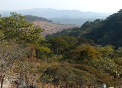 Chitambo Hills in Chitambo