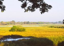 Kasanka National Park in Chitambo