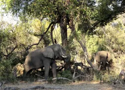 Mosi-oa-Tunya National Park in Livingstone