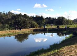 Kalimba Reptile Park in Lusaka