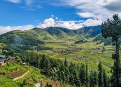 Phobjikha Valley in Chukha