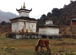 Aja Ney in Mongar