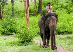 Bumdelling Wildlife Sanctuary in Samdrup Jongkhar