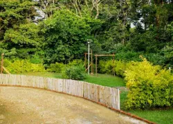 Kaposya Forest in Eldoret