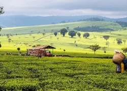 Nandi Hills in Eldoret