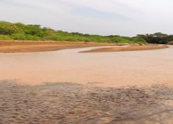 The Lorian Swamp in Garissa