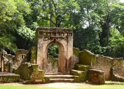 Gedi Ruins in Malindi