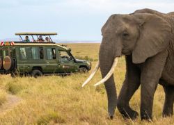 Sibiloi National Park in Marsabit