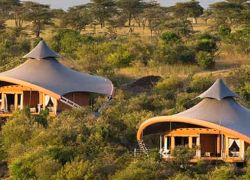 Olare Orok Conservancy in Masai Mara