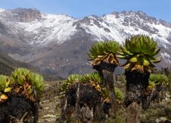 Sirimon Gate in Nanyuki