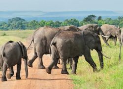 Mwea National Reserve in Nyeri
