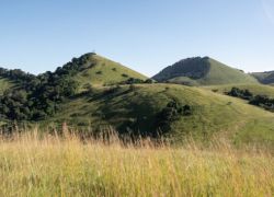 The Green Hills Of Africa in Nyeri