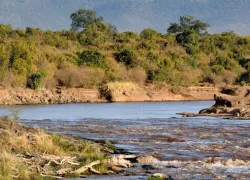 Mara River in Narok