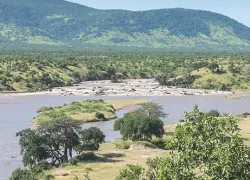 Rukwa national Park in Mlele