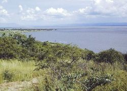 The Rukwa Basin in Mlele