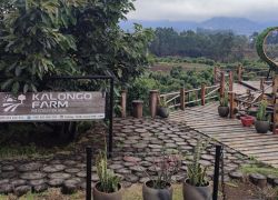 Kimboza Forest Reserve in Morogoro