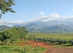 Mgorogoro Nature Reserve in Morogoro