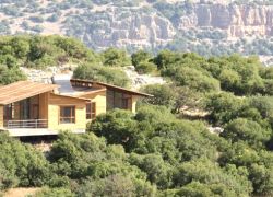 Ajloun Forest Reserve in Ajloun