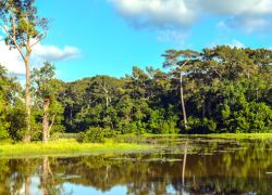 Dulahazra Safari Park in Chittagong
