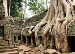 Ta Prohm
