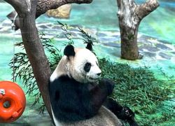 Taipei Zoo in Taipei