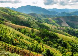 Kalaw Wildlife Reserve in Kalaw