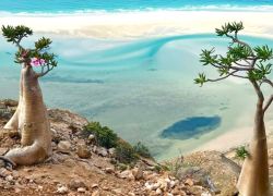 Socotra National Park in Socotra Island