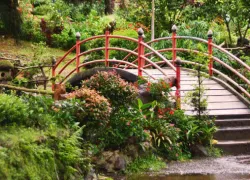 Baguio Botanical Garden in Baguio