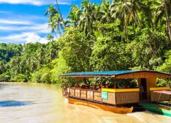 Tarsier Sanctuary in Bohol