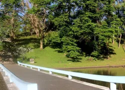 Japnese Gardens in Manila