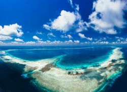 Tubbataha Reefs Natural Park in Palawan