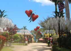 Baker’s Hill in Puerto Princesa