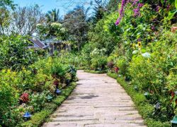 Sonya Garden in Tagaytay