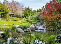Tashkent Botanical Garden in Tashkent