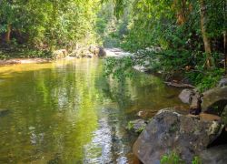 Sinharaja Forest Reserve in Galle
